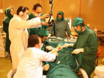 استئولوژی 2 در دانشکده دندانپزشکی شهید بهشتی - تهران