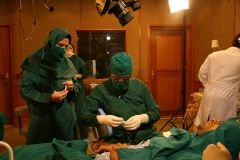  دومین سمپوزیوم استئولوژی ایران