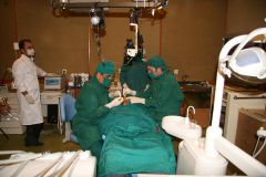 Second Osteology Symposium_113