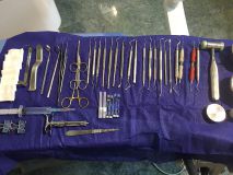 Two days Plastic surgery course with live surgery