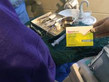 Fundamental of GBR with live surgery